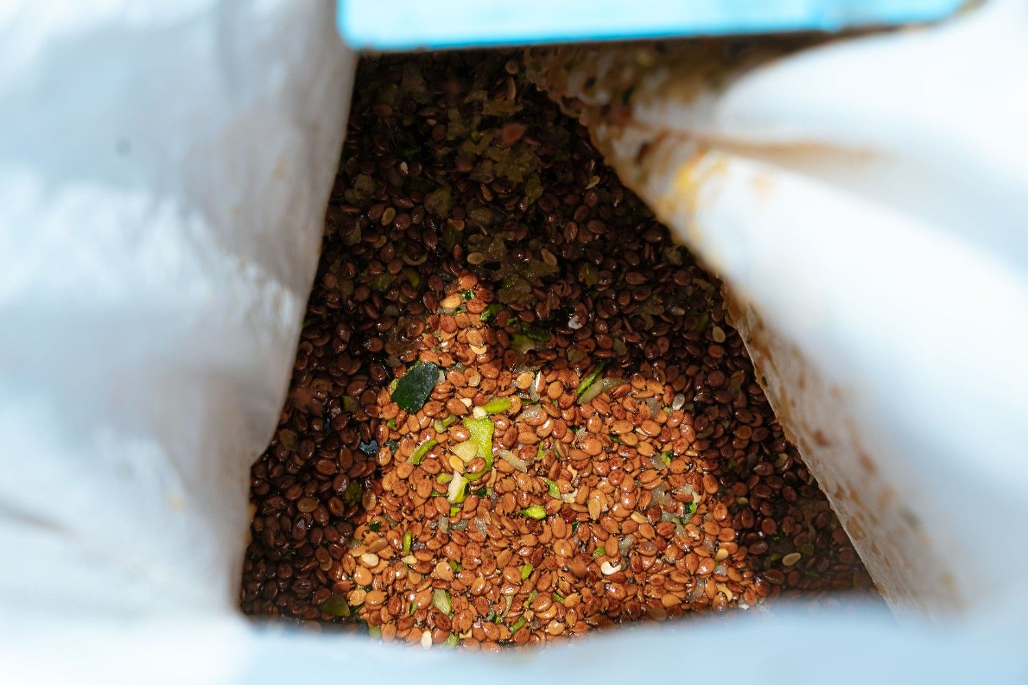 Premium quality seeds - BSV Seeds product showcase